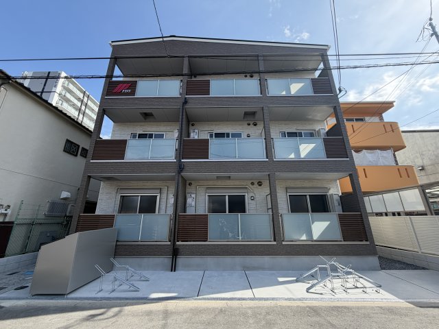 F asecia lasoの外観