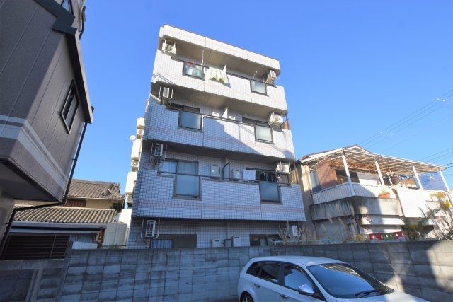 マリス平野の外観