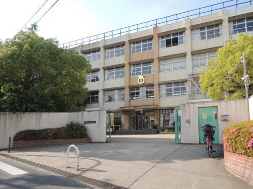 【小学校】東大阪市立桜橋小学校まで479ｍ