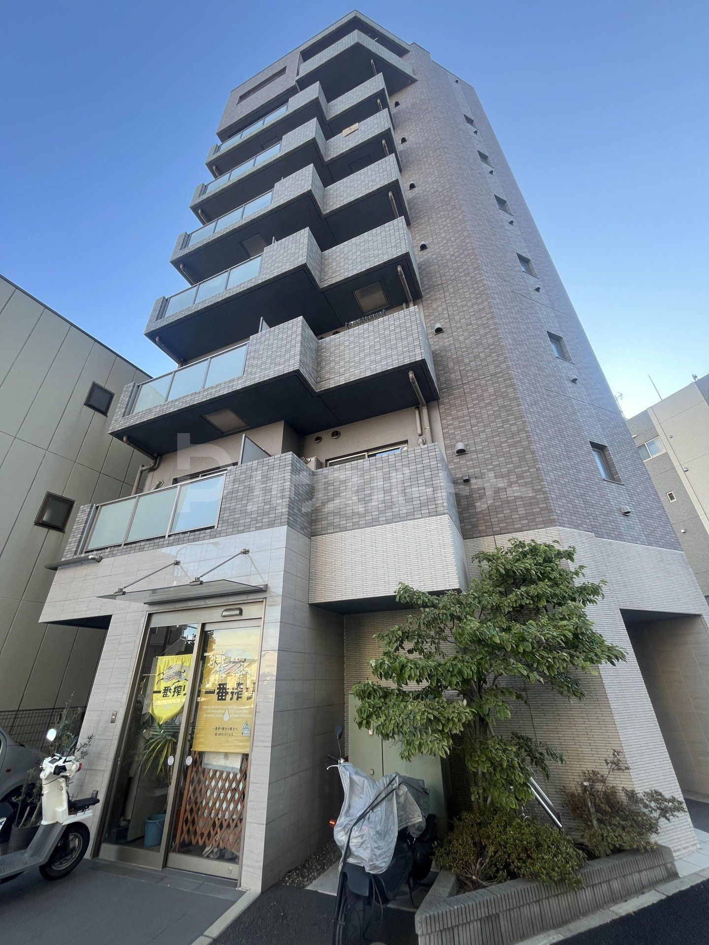 ＡＲＥＡ３８５の外観