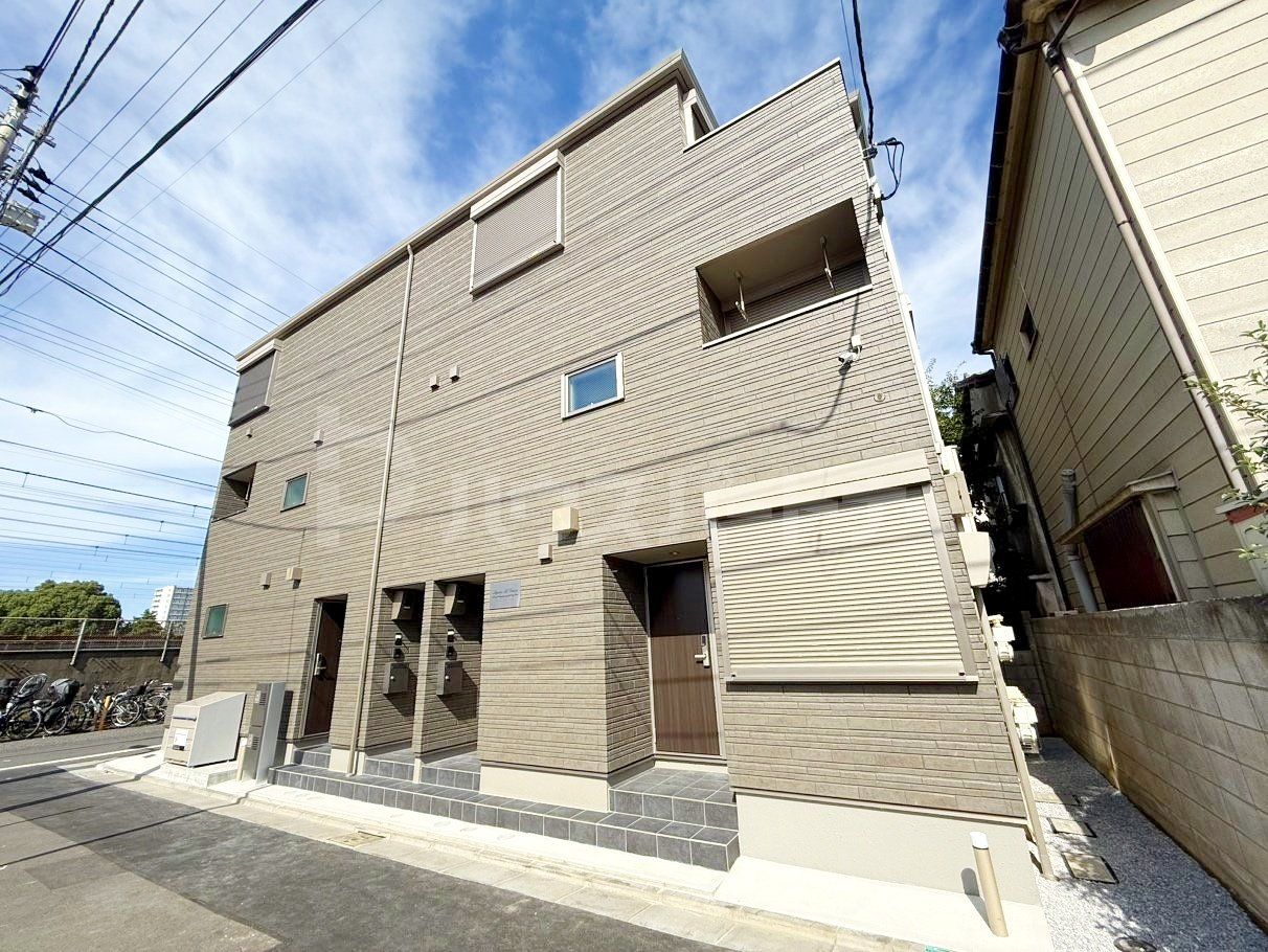 Legume ail graisseの外観