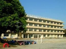 船橋市立市場小学校 1200m 船橋市立市場小学校 1200m