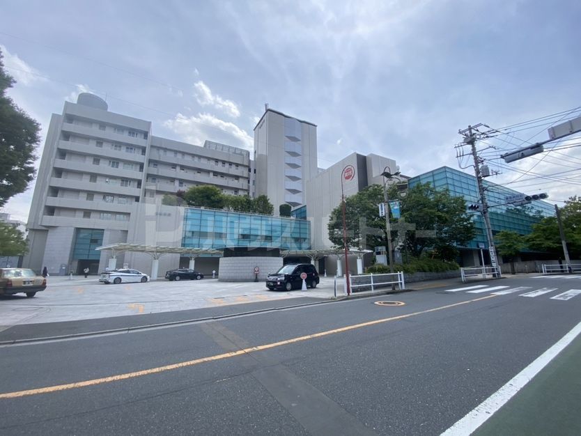 公益財団法人東京都保健医療公社豊島病院 徒歩12分。 890m 公益財団法人東京都保健医療公社豊島病院 徒歩12分。 890m