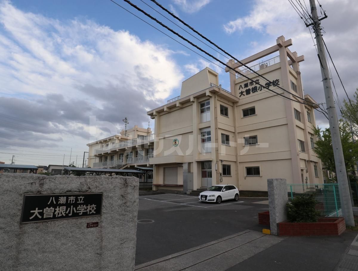 八潮市立大曽根小学校 徒歩1分。 20m 八潮市立大曽根小学校 徒歩1分。 20m