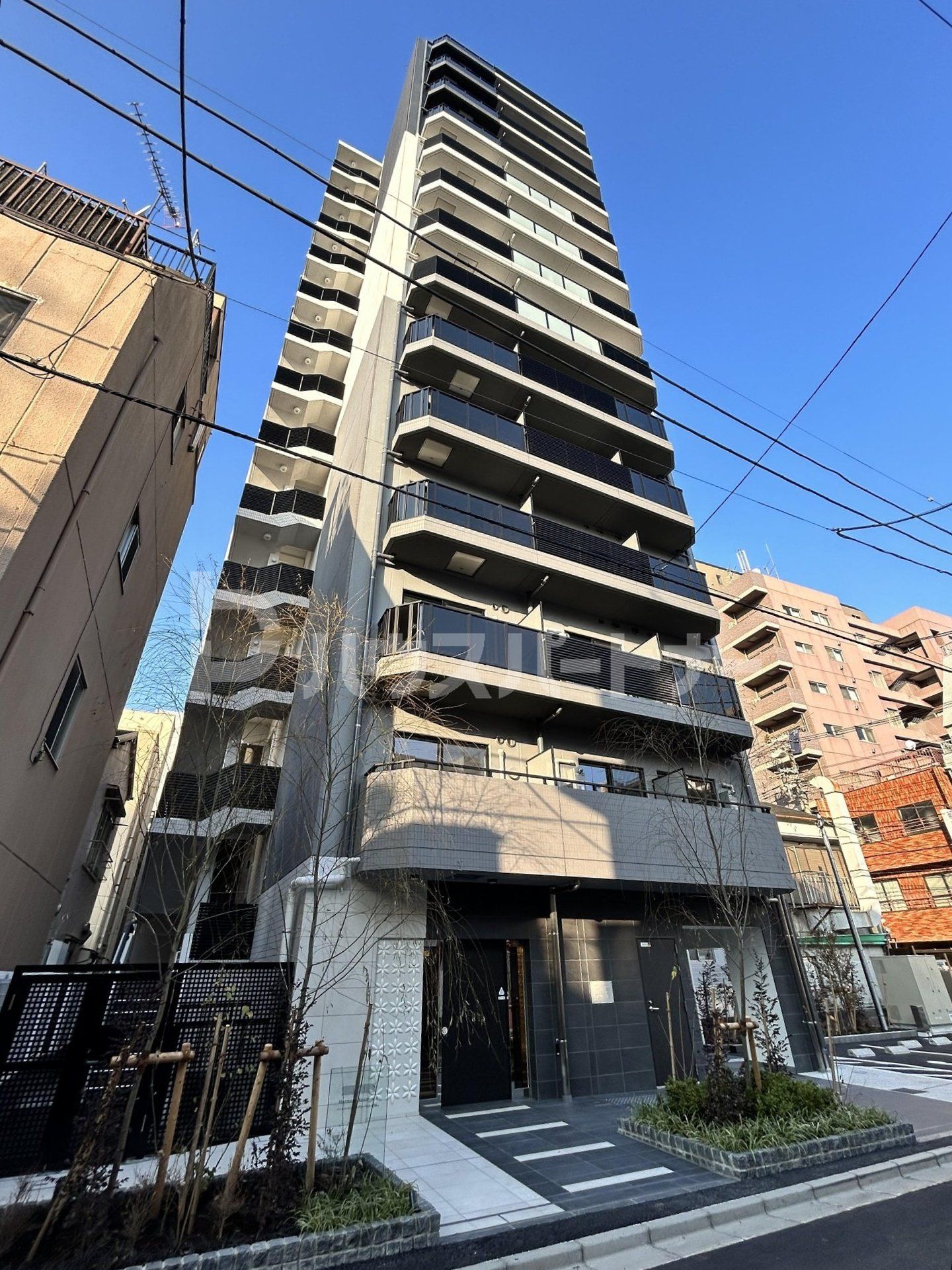 外観 外観