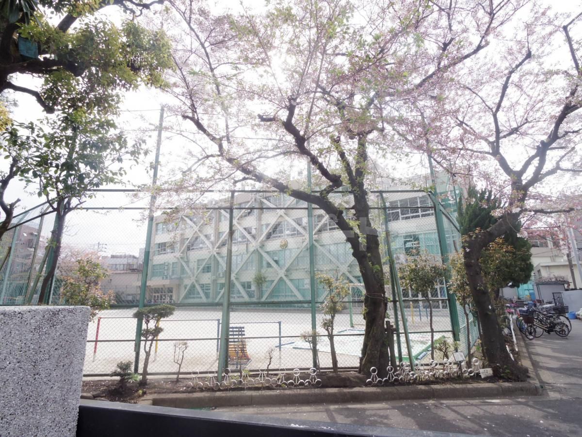 荒川区立第三峡田小学校 徒歩4分。 260m 荒川区立第三峡田小学校 徒歩4分。 260m
