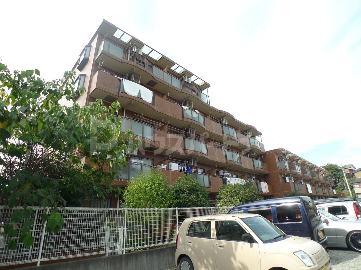 松戸市大金平２丁目の賃貸マンションの外観