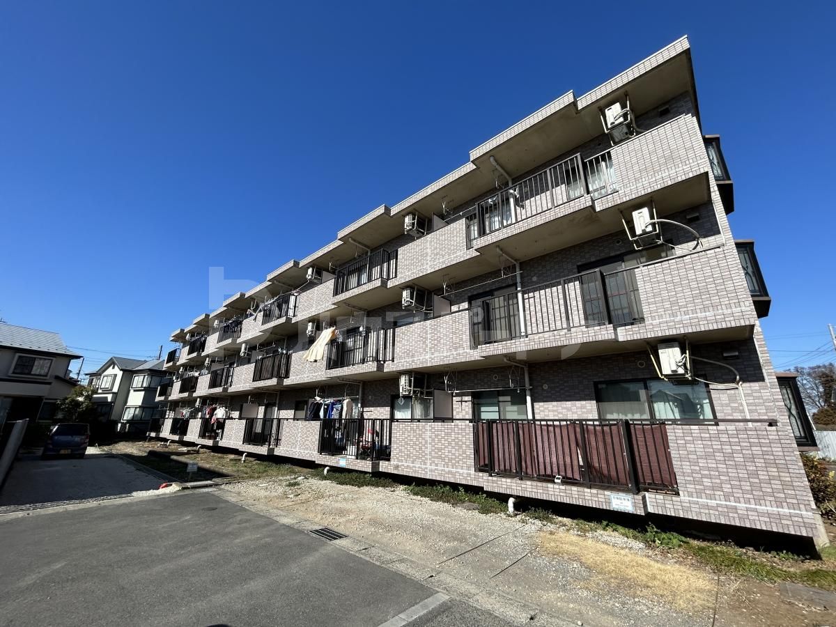 柏市松ケ崎の賃貸マンションの外観