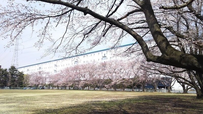 新十余二第一公園 徒歩6分。 450m 新十余二第一公園 徒歩6分。 450m