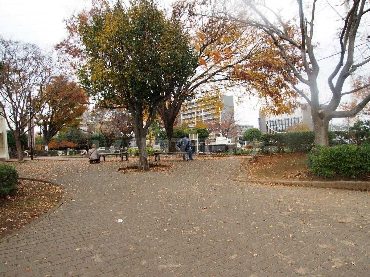 天沼弁天池公園 300m 天沼弁天池公園 300m
