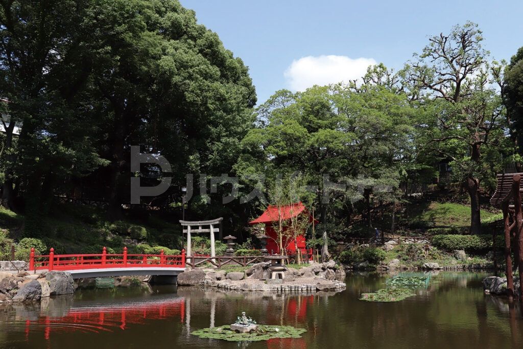 須藤公園 徒歩8分。 640m 須藤公園 徒歩8分。 640m