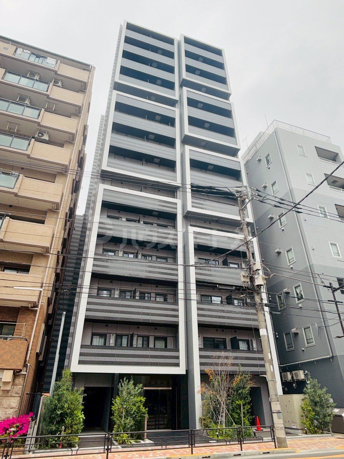 ステージグランデ台東根岸アジールコートの外観