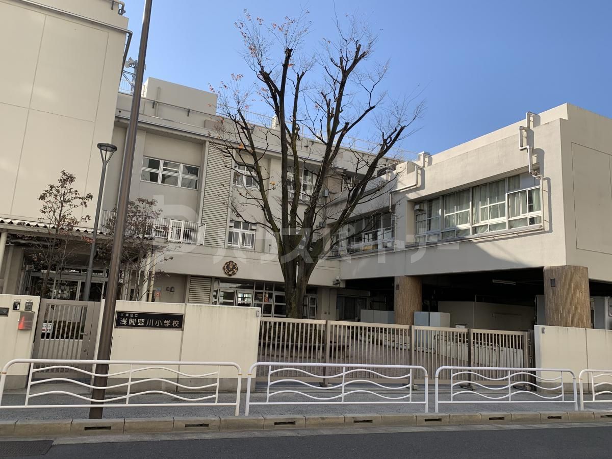 江東区立浅間竪川小学校 徒歩8分。 590m 江東区立浅間竪川小学校 徒歩8分。 590m