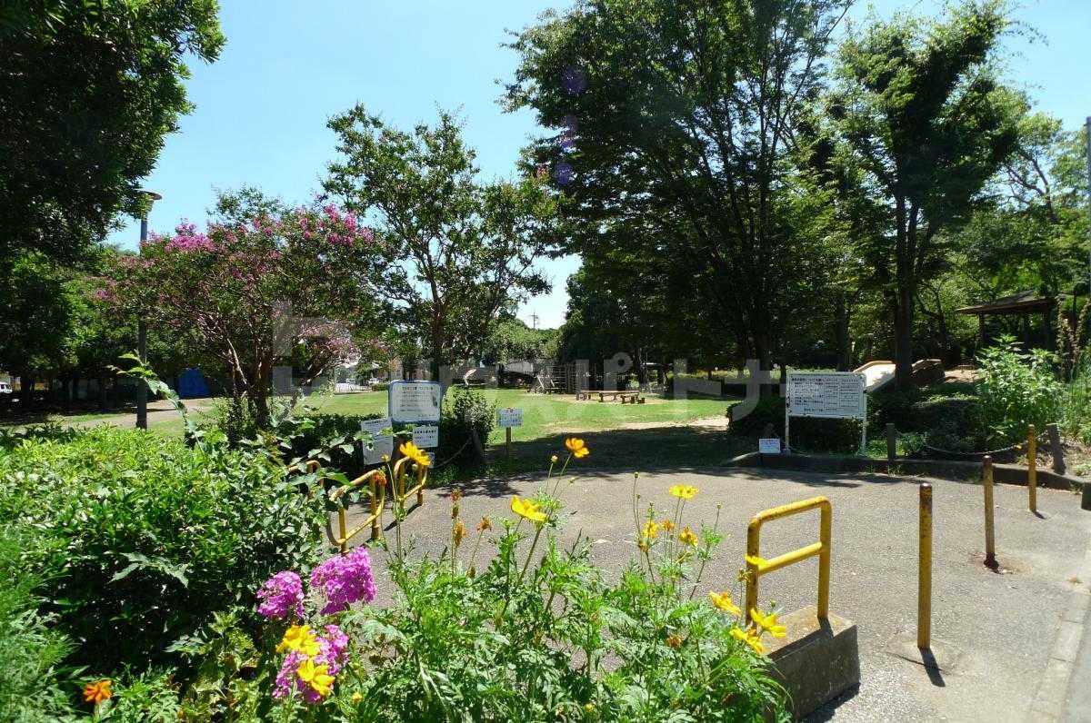 東初石2号緑地(わんぱく公園) 徒歩4分。 270m 東初石2号緑地(わんぱく公園) 徒歩4分。 270m