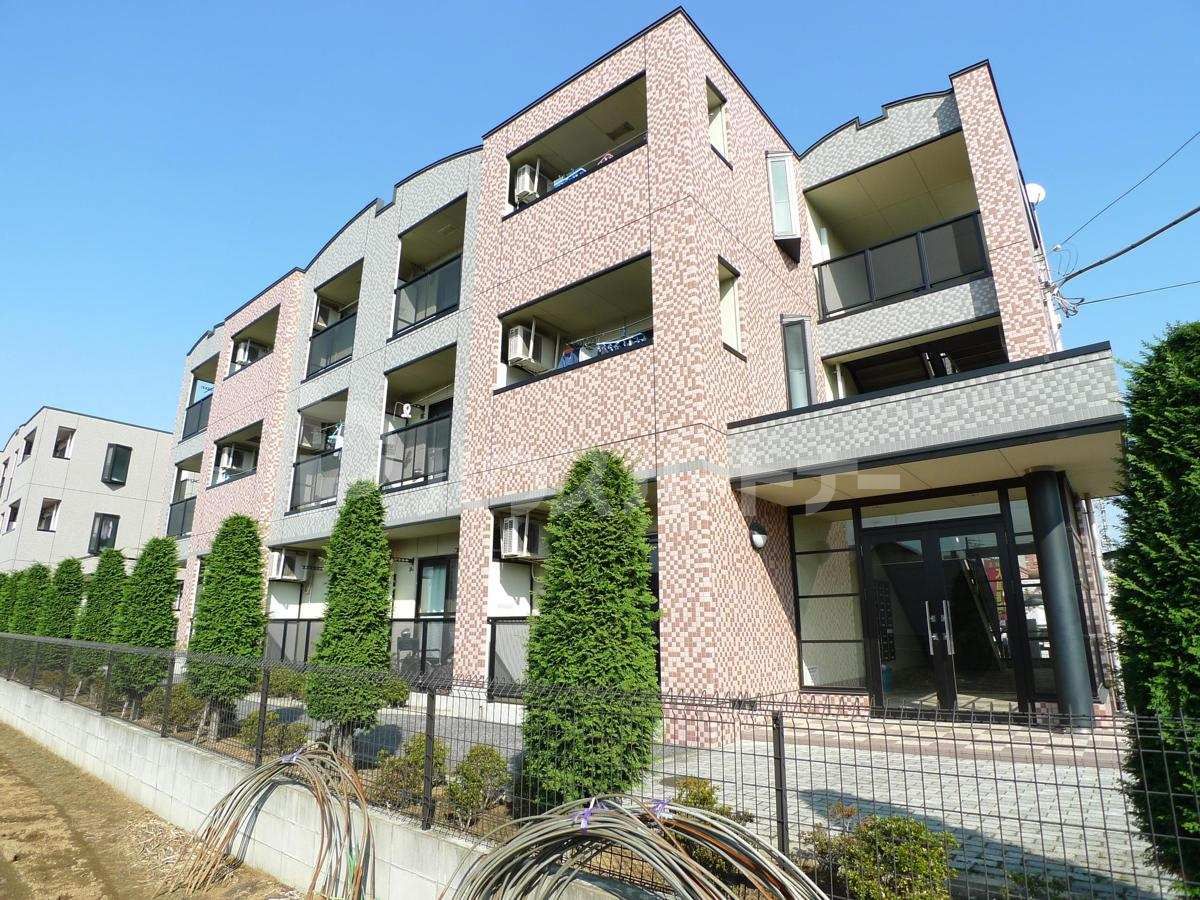 マイルドの外観