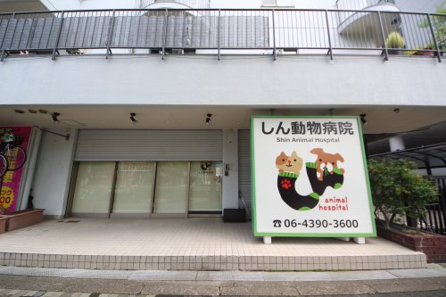 【動物病院】しん動物病院まで261m 【動物病院】しん動物病院まで261m