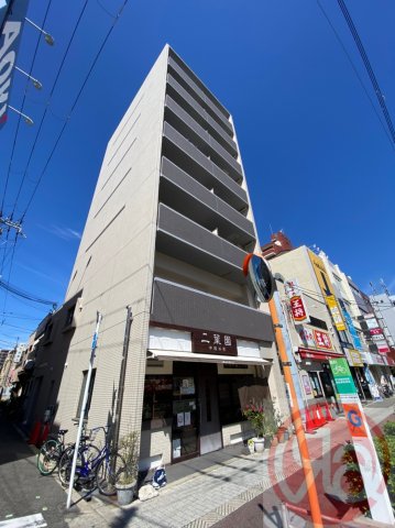 シーラビフォリア