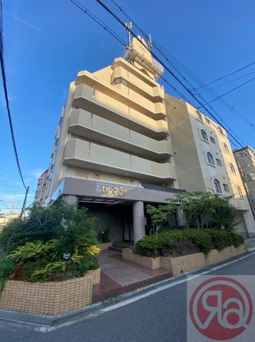 セレネ３７の外観