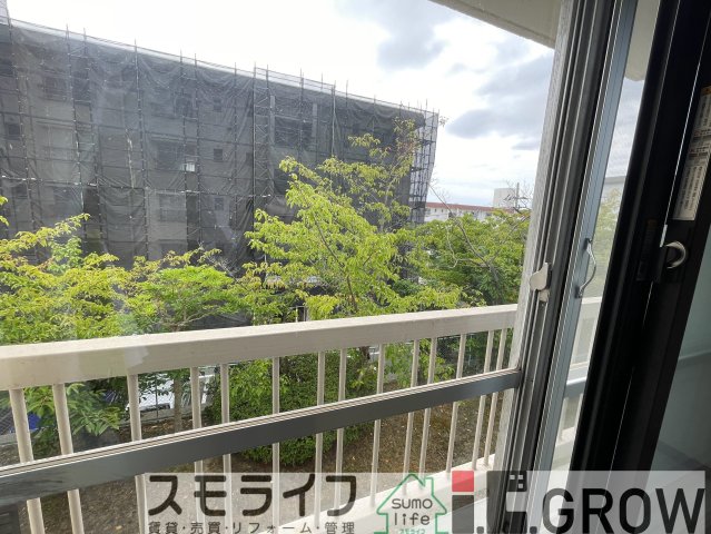 展望 展望