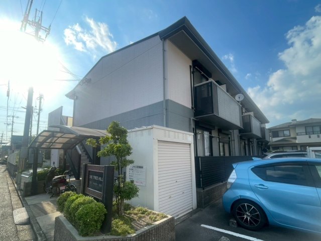 ワントゥリーヒル