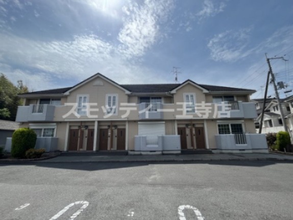 クレストール真美