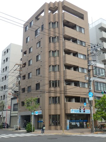 Peaceful Court 菊川