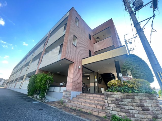 セルバ
