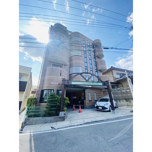 ライトハッピネスパインアイ