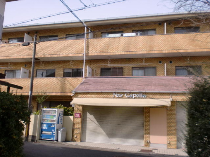 ブルガー光の外観