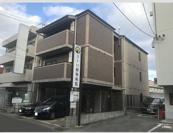 ドミール関大前