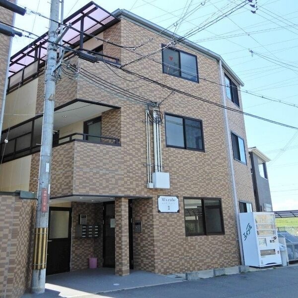 Ms　cubeⅡ