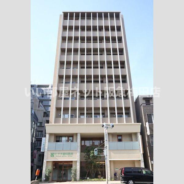 T.Y天六