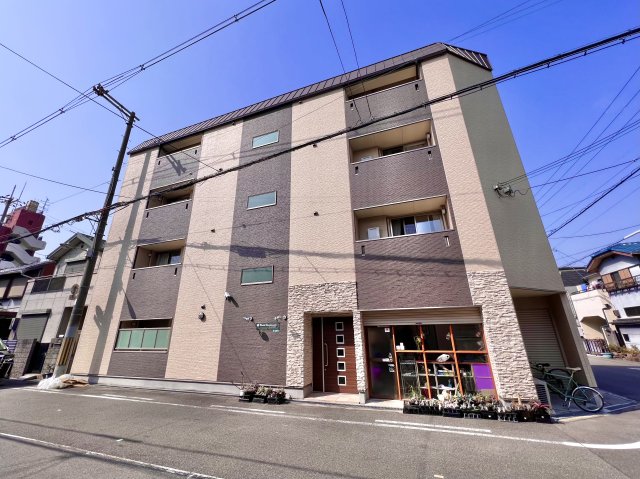外観 外観