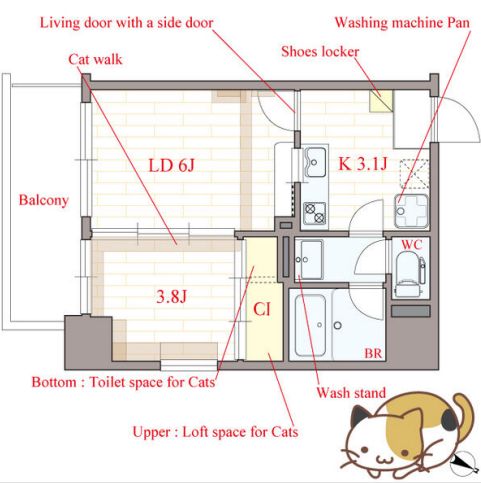 Felis塚本　間取り
