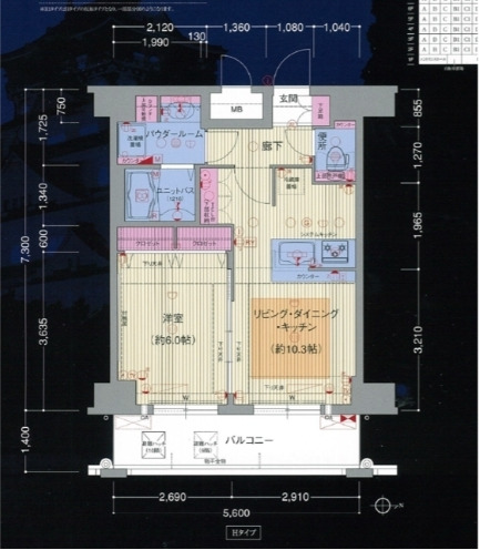 プレサンス大阪城パークプレイス　間取り