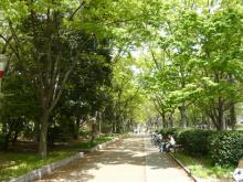 【公園】靱公園まで360m 【公園】靱公園まで360m