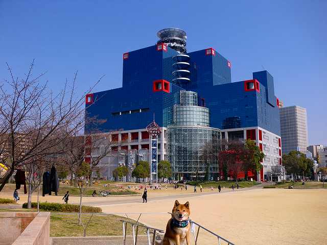 【公園】扇町公園まで713ｍ