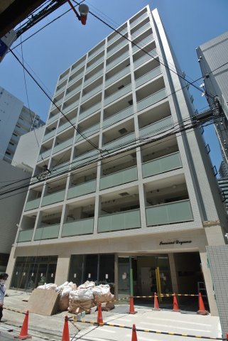 Innocent Doyamaの外観
