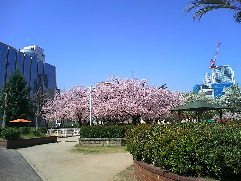 【公園】中大江公園まで1082ｍ