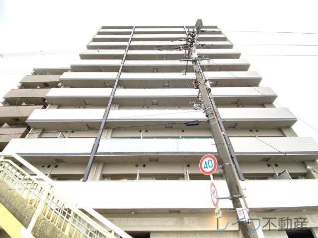 LIVIAZ NAMBA RENOM