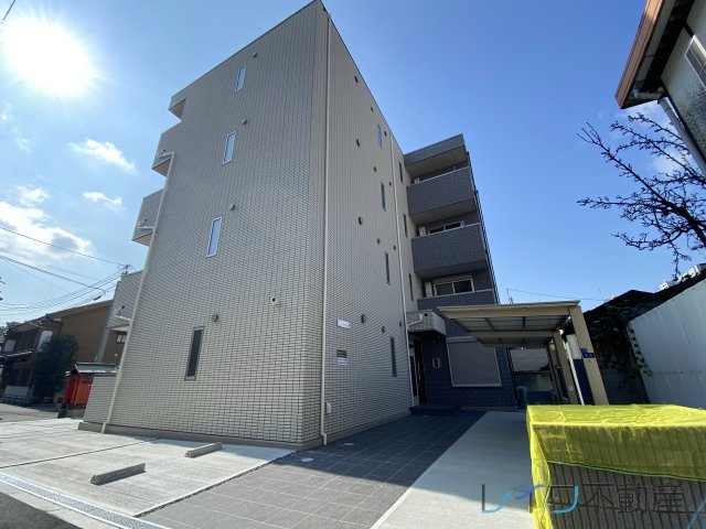 TRICERA　Court