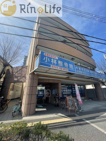 マイドリーム