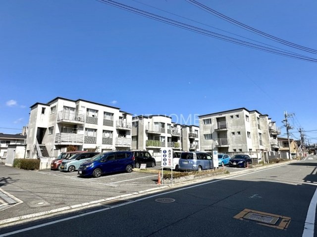 Ponte Fico(ポンテフィーコ)