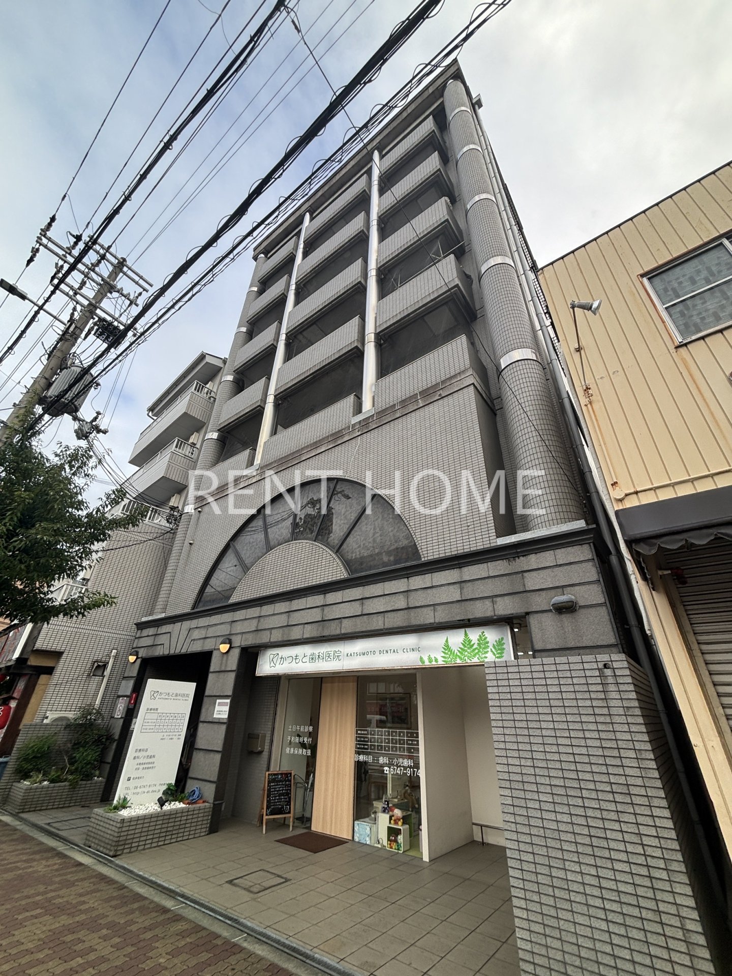 セザール東邦