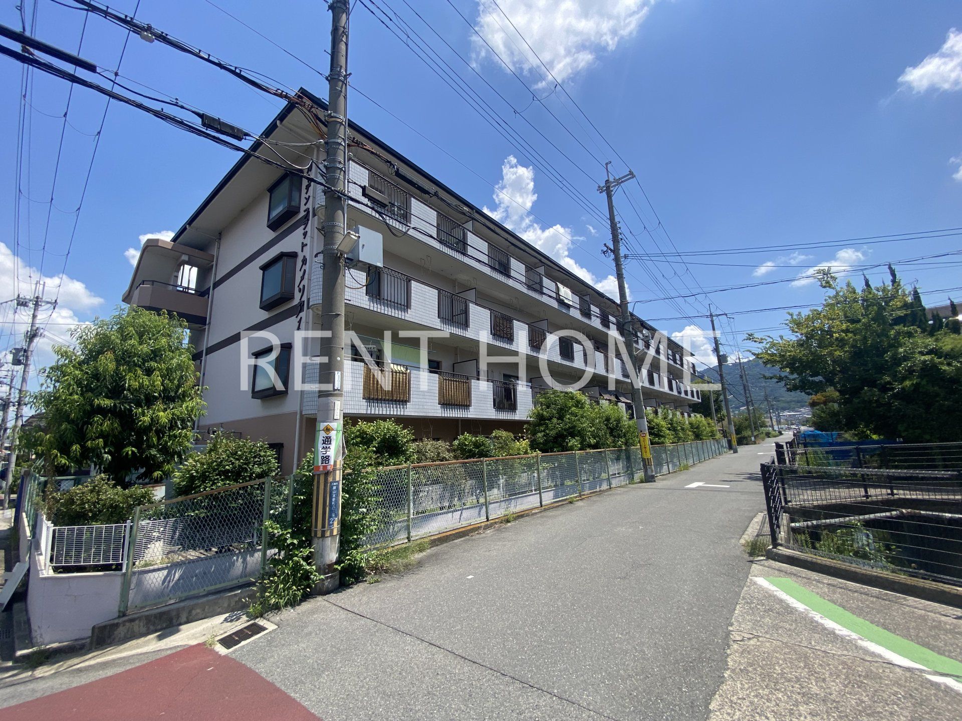 ガーデンフラットカメリア