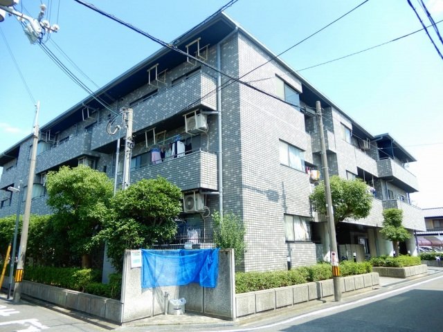 セルバ山本II（猫可）