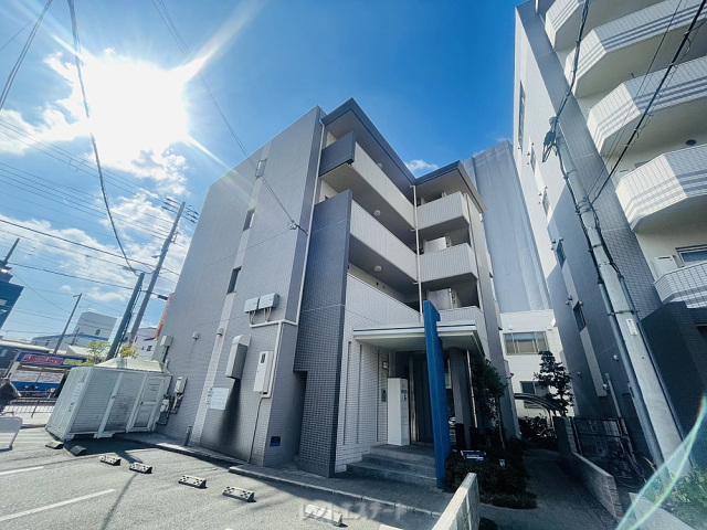 サザングレイス