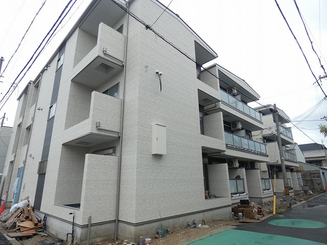 F asecia stibの外観