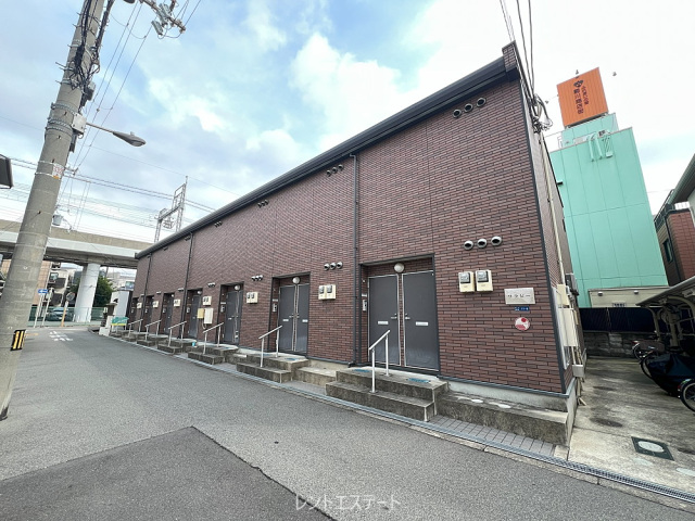 ワラビーの外観