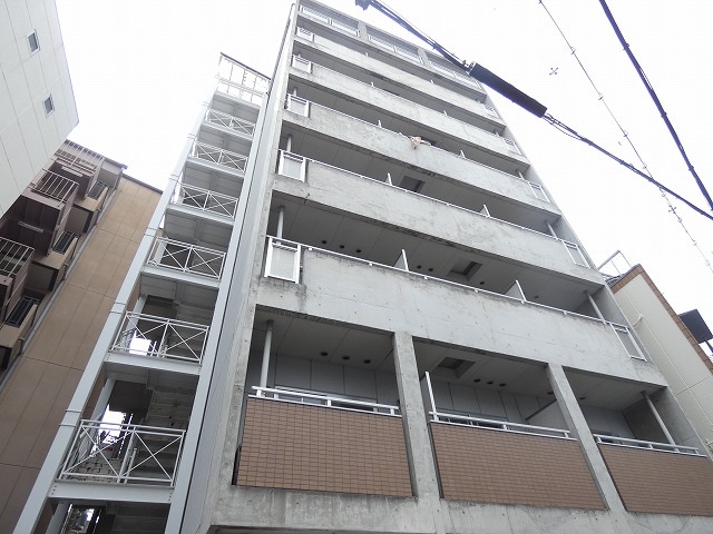 外観 外観